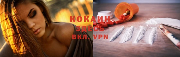 ГАЛЛЮЦИНОГЕННЫЕ ГРИБЫ Нея