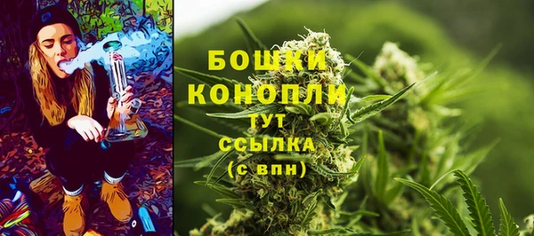 СК Навашино
