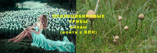 СК Навашино
