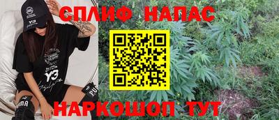 молекула духа Донской