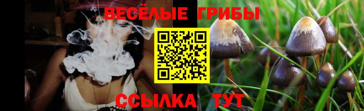 Галлюциногенные грибы Psilocybine cubensis  Вход с VPN  Геленджик 