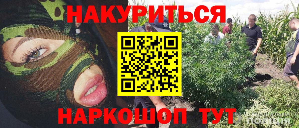 Шишки марихуана планчик Геленджик